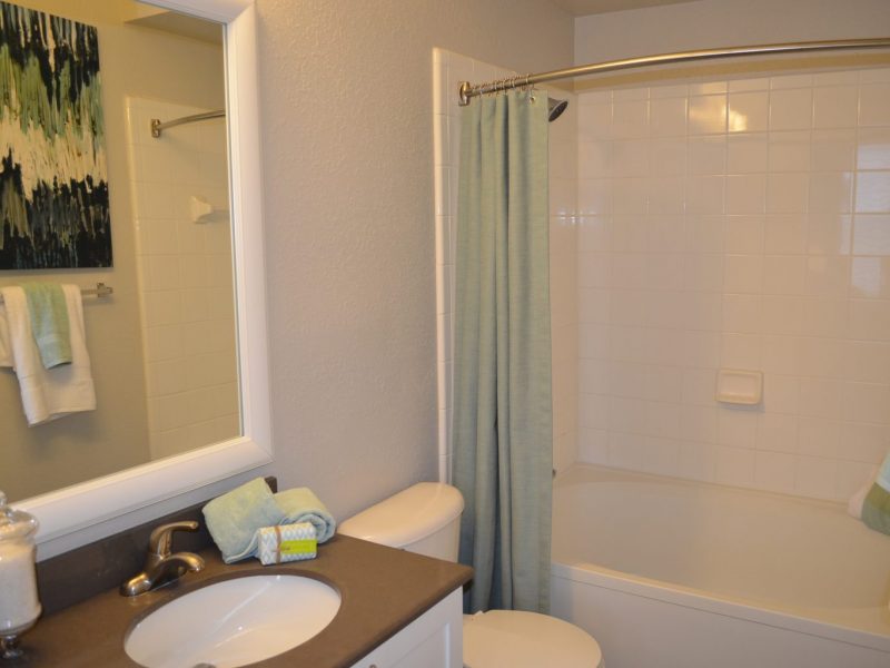 This image shows a broad view of the premium apartment feature, specifically the bathroom area showing a minimally designed theme bathroom and high-quality tile that was good for an accessible utility.